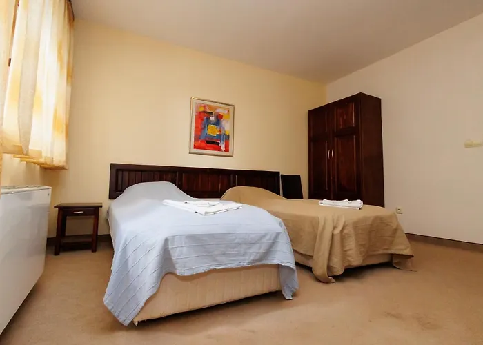 招待所 конна база и дворене