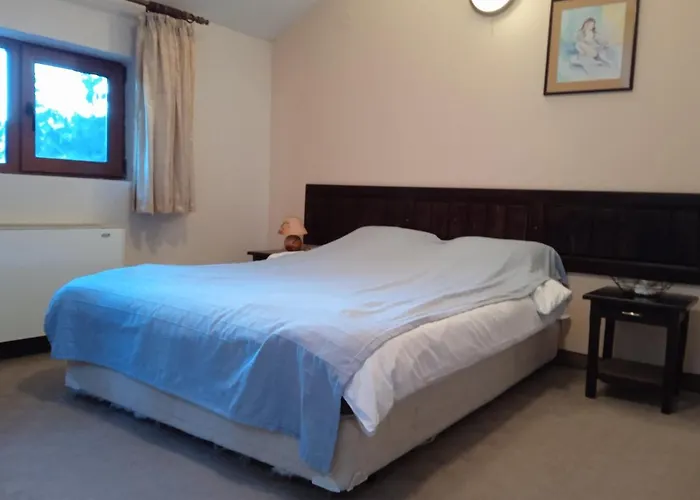 конна база и дворене 招待所